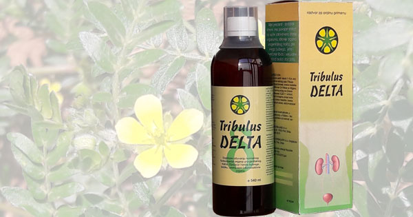 biljni_lek_tribulus_delta biljni_lek_tribulus_delta
