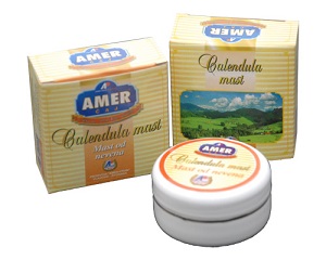 calendula_mast