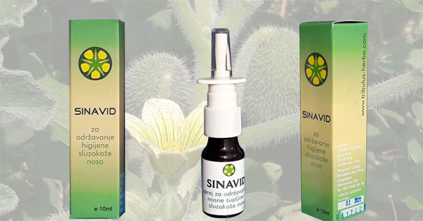 sinavid_prirodni_lek_za_sinuse sinavid_prirodni_lek_za_sinuse
